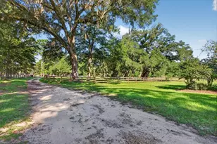 6207 NW 124th St, Gainesville, FL 32653 - Photo 59