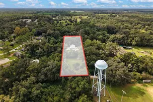 17163 SW 141st Rd, Archer, FL 32618 - Photo 29