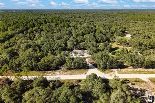 12371 NE 82nd Pl, Bronson, FL 32621 - Photo 37