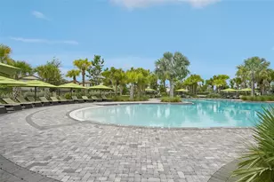 5517 Blue Azure Dr, Wimauma, FL 33598 - Photo 37