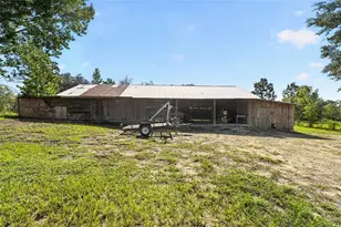 5151 NE 124th Terrace, Williston, FL 32696 - Photo 13