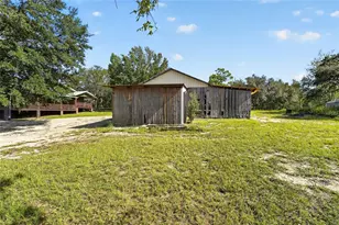 5151 NE 124th Terrace, Williston, FL 32696 - Photo 15