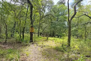 18152 SW 111th St, Brooker, FL 32622 - Photo 43
