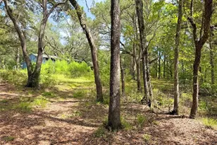 18152 SW 111th St, Brooker, FL 32622 - Photo 51