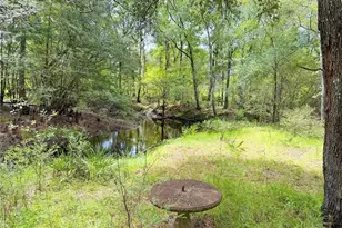 18152 SW 111th St, Brooker, FL 32622 - Photo 45