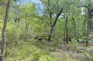 18152 SW 111th St, Brooker, FL 32622 - Photo 53