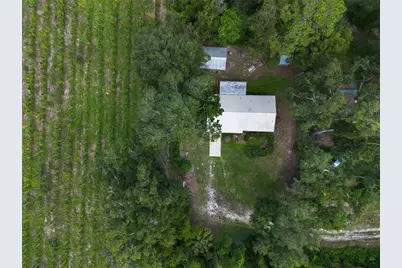 1424 NW 13th Avenue, Chiefland, FL 32626 - Photo 41