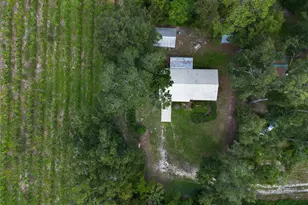 1424 NW 13th Ave, Chiefland, FL 32626 - Photo 41