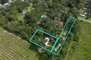 1424 NW 13th Ave, Chiefland, FL 32626 - Photo 43