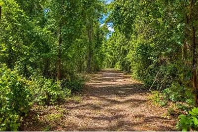 2451 NE 120th Street, Chiefland, FL 32626 - Photo 67