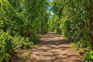 2451 NE 120th St, Chiefland, FL 32626 - Photo 67
