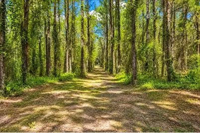 2451 NE 120th Street, Chiefland, FL 32626 - Photo 63