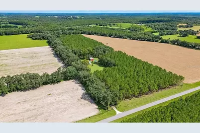 2451 NE 120th Street, Chiefland, FL 32626 - Photo 75