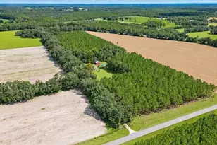 2451 NE 120th St, Chiefland, FL 32626 - Photo 75