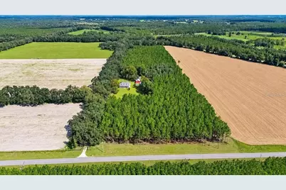 2451 NE 120th Street, Chiefland, FL 32626 - Photo 77