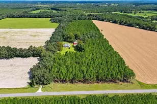 2451 NE 120th St, Chiefland, FL 32626 - Photo 77