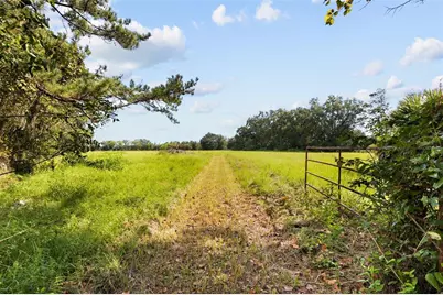1869 SW 32nd Place, Bell, FL 32619 - Photo 43