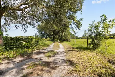1869 SW 32nd Place, Bell, FL 32619 - Photo 45