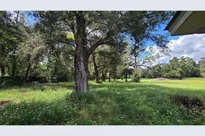 509 N Court Street, Bronson, FL 32621 - Photo 3