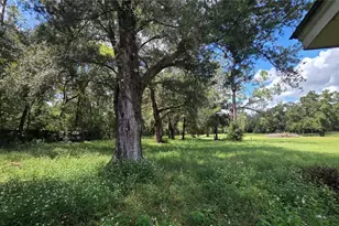 509 N Court St, Bronson, FL 32621 - Photo 3