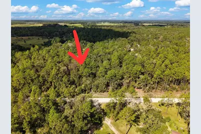 6339 NW 17th Court, Bell, FL 32619 - Photo 27