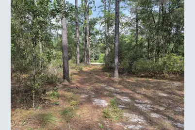 6339 NW 17th Court, Bell, FL 32619 - Photo 23