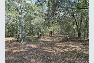 6339 NW 17th Court, Bell, FL 32619 - Photo 19