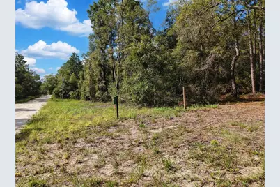 6339 NW 17th Court, Bell, FL 32619 - Photo 9
