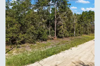 6339 NW 17th Court, Bell, FL 32619 - Photo 7