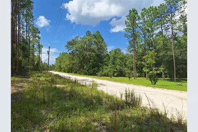6339 NW 17th Court, Bell, FL 32619 - Photo 13