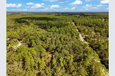 6339 NW 17th Court, Bell, FL 32619 - Photo 3