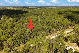 6339 NW 17th Ct, Bell, FL 32619 - Photo 1