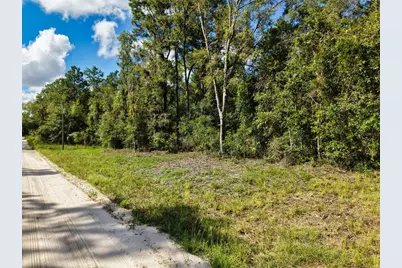6339 NW 17th Court, Bell, FL 32619 - Photo 5