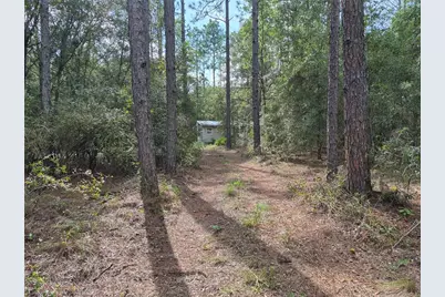 6339 NW 17th Court, Bell, FL 32619 - Photo 25