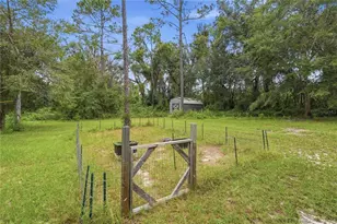5685 SW 57th Dr, Lake Butler, FL 32054 - Photo 29