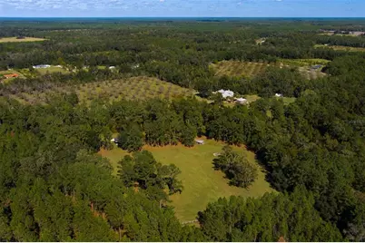 11317 NW 199th Avenue, Alachua, FL 32615 - Photo 67