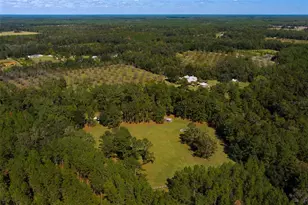 11317 NW 199 Ave, Alachua, FL 32615 - Photo 67