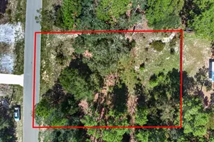 7156 Park St, Keystone Heights, FL 32656 - Photo 49
