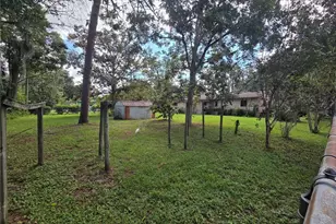 2212 NE 8th Ave, Gainesville, FL 32641 - Photo 33