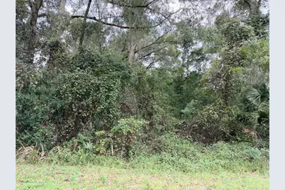 0 NW 66th Terrace, Chiefland, FL 32626 - Photo 1