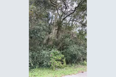 0 NW 66th Terrace, Chiefland, FL 32626 - Photo 3