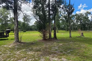 5950 NW 135th St, Chiefland, FL 32626 - Photo 19