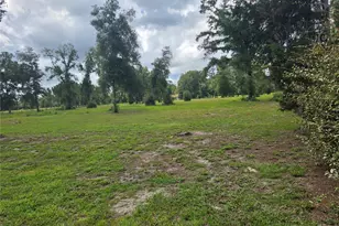 5950 NW 135th St, Chiefland, FL 32626 - Photo 9