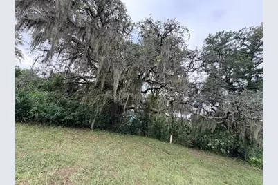 6690 NW 100th Street, Chiefland, FL 32626 - Photo 3
