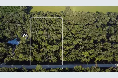Tbd NW 48th , Lot 15 Terrace, Chiefland, FL 32626 - Photo 5