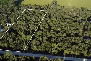 Tbd NW 48th Lot 15 Terrace, Chiefland, FL 32626 - Photo 1
