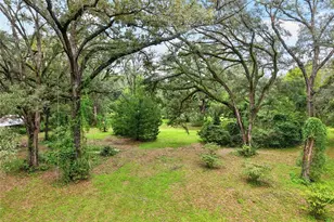 17011 NW 110th Ave, Alachua, FL 32615 - Photo 9