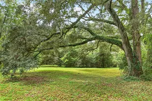 17011 NW 110th Ave, Alachua, FL 32615 - Photo 15