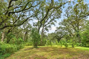 17011 NW 110th Ave, Alachua, FL 32615 - Photo 11