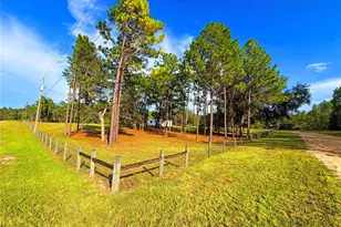 104 Doe Trail, Hawthorne, FL 32640 - Photo 67